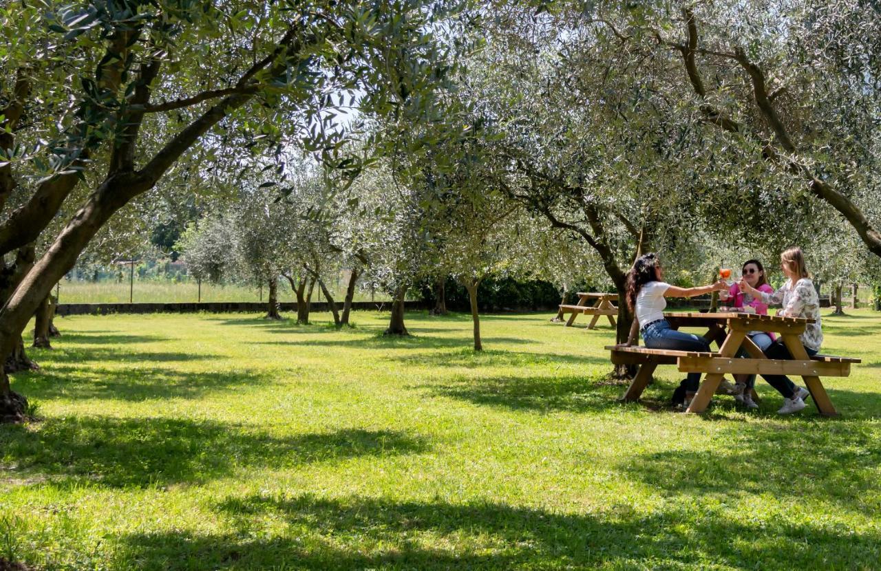 Agriturismo Ca Del Lago Villa Gravedona Buitenkant foto