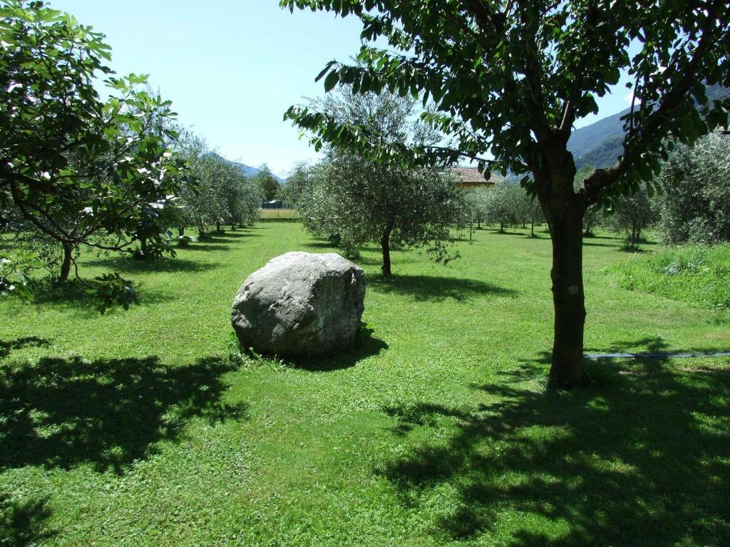 Agriturismo Ca Del Lago Villa Gravedona Buitenkant foto